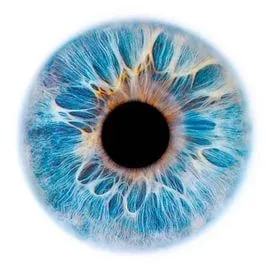 App WellScanLife per lo screening della salute — analizzatore bio-risonante vitaminici